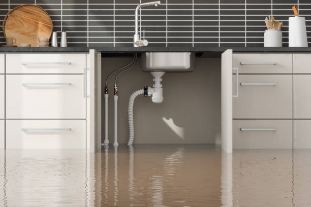 Best Professional water damage repair  in Fort Dodge, IA